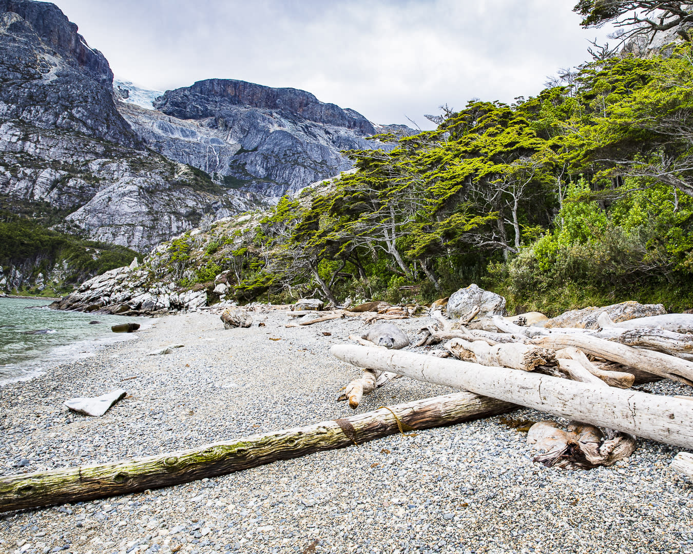 Typical coastal landscape at Tierra del Fuego