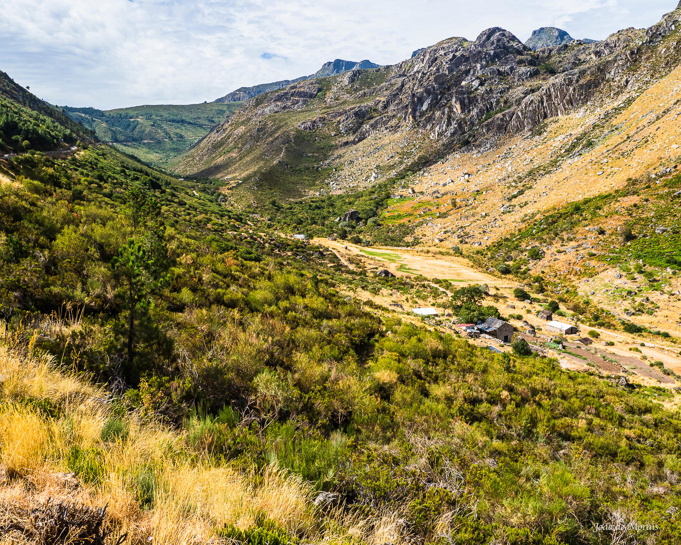 Revisiting Family Roots