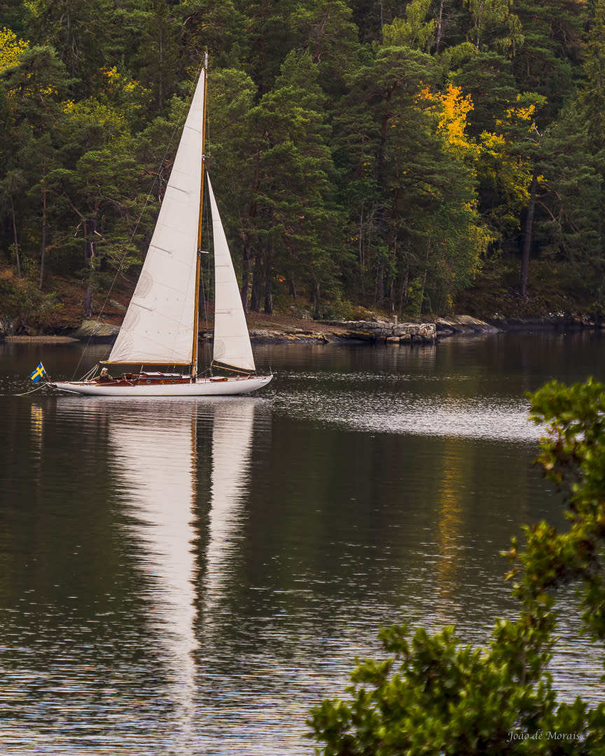 Sailing into Autumn: