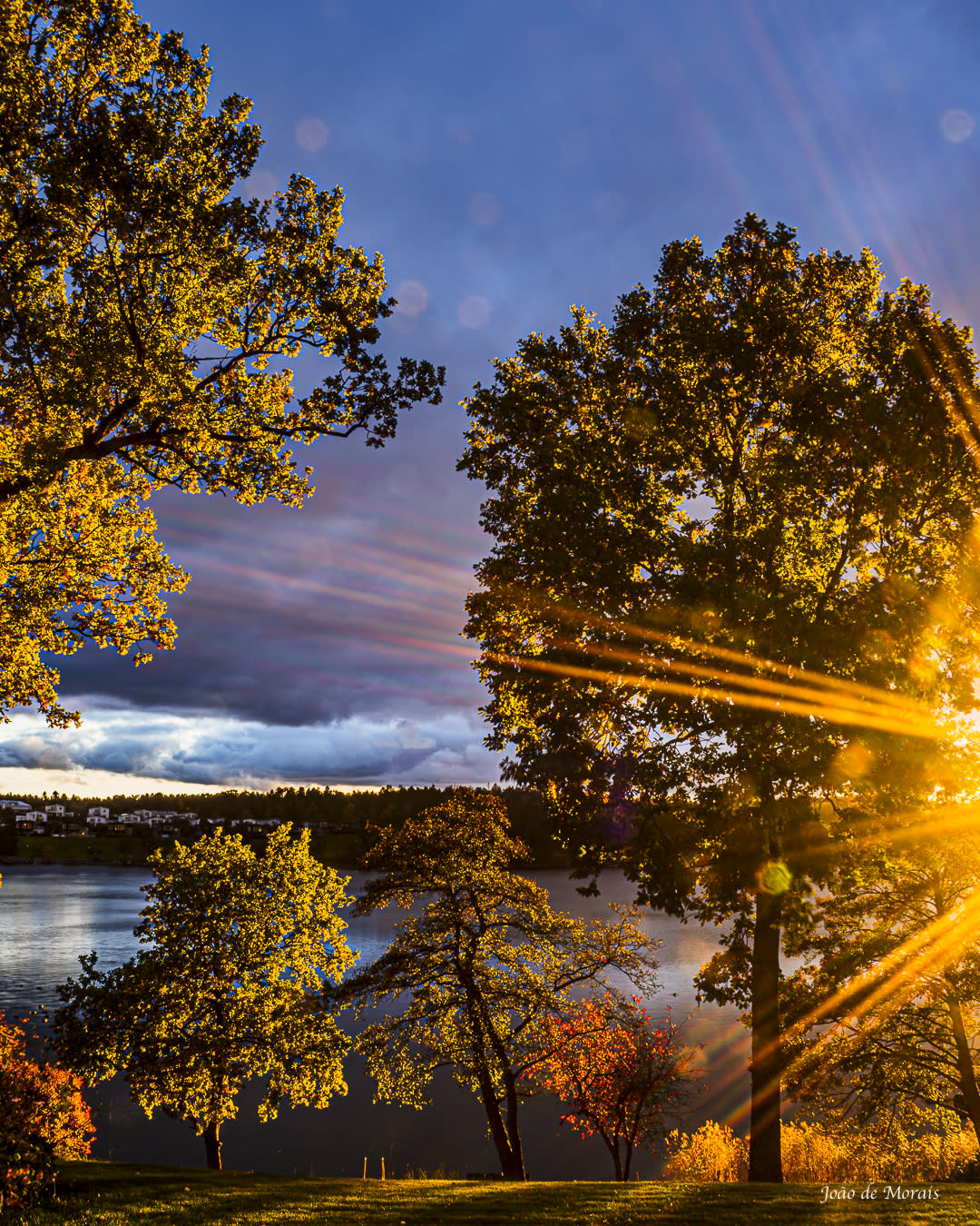 Autumn Light Celebration