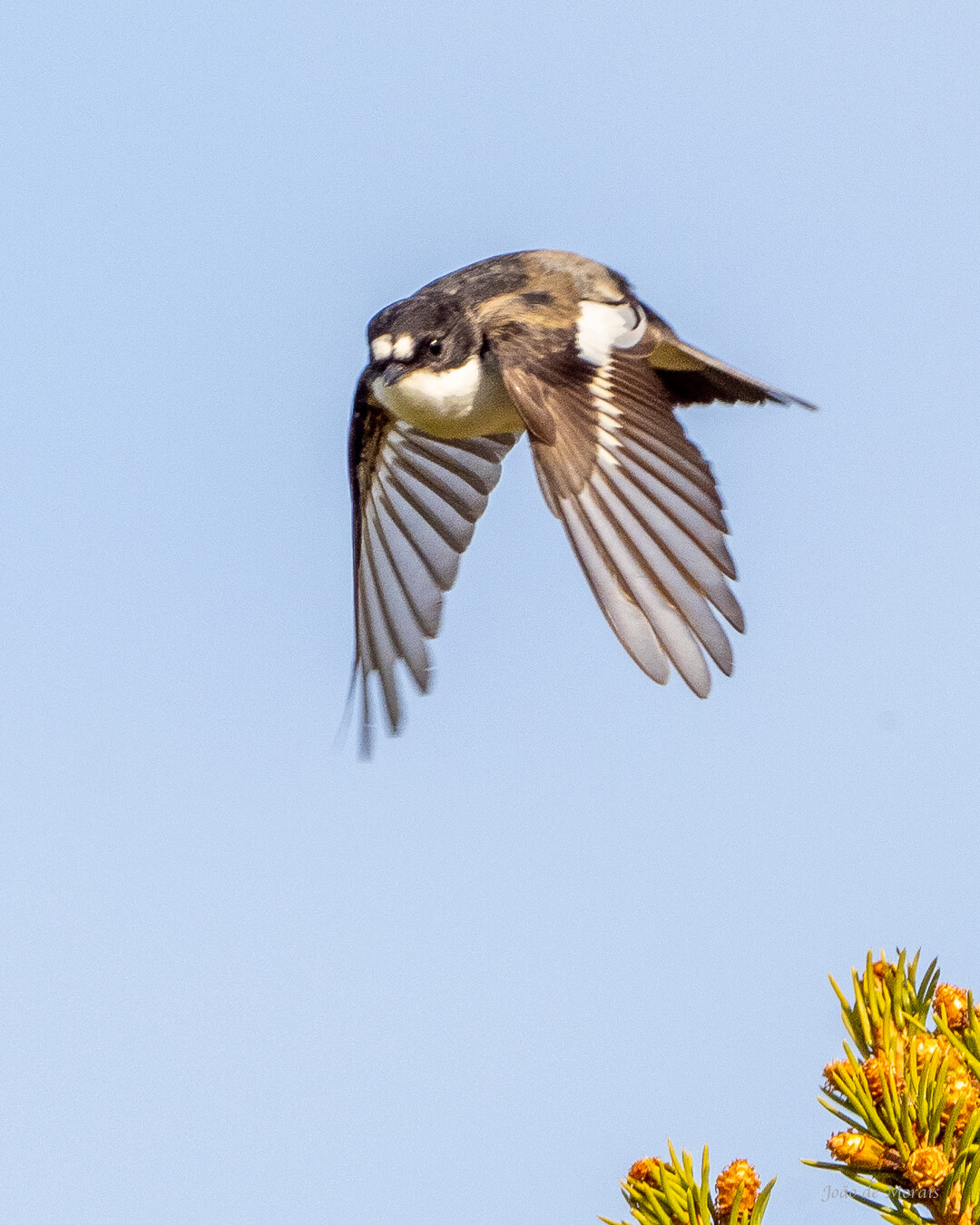 Seeking the Spot (nr 2)