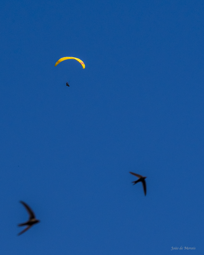 Spot the difference (nr 2)