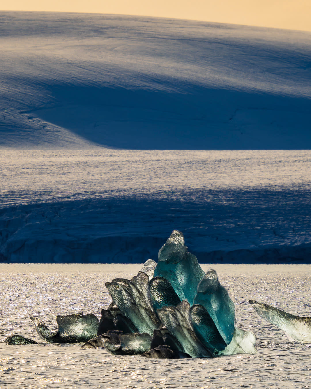 Ice Sculpture in the ‘Blue hour