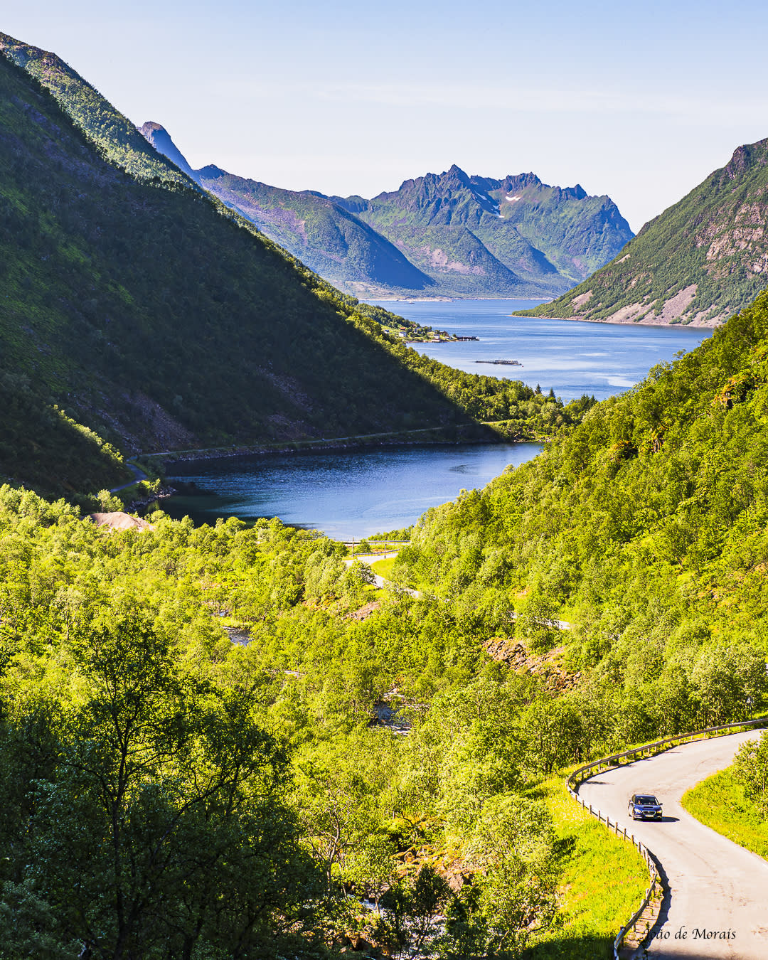 A Scenic View of Öyfjorden