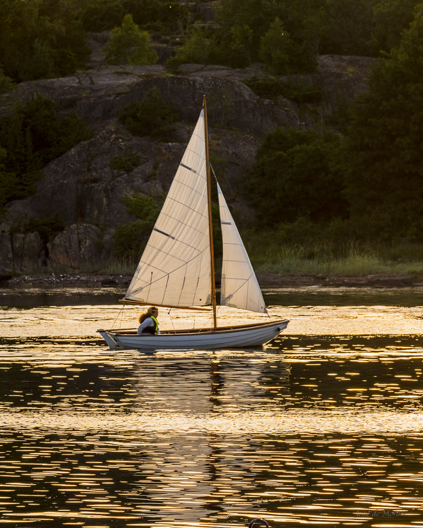 Sunset Sailing