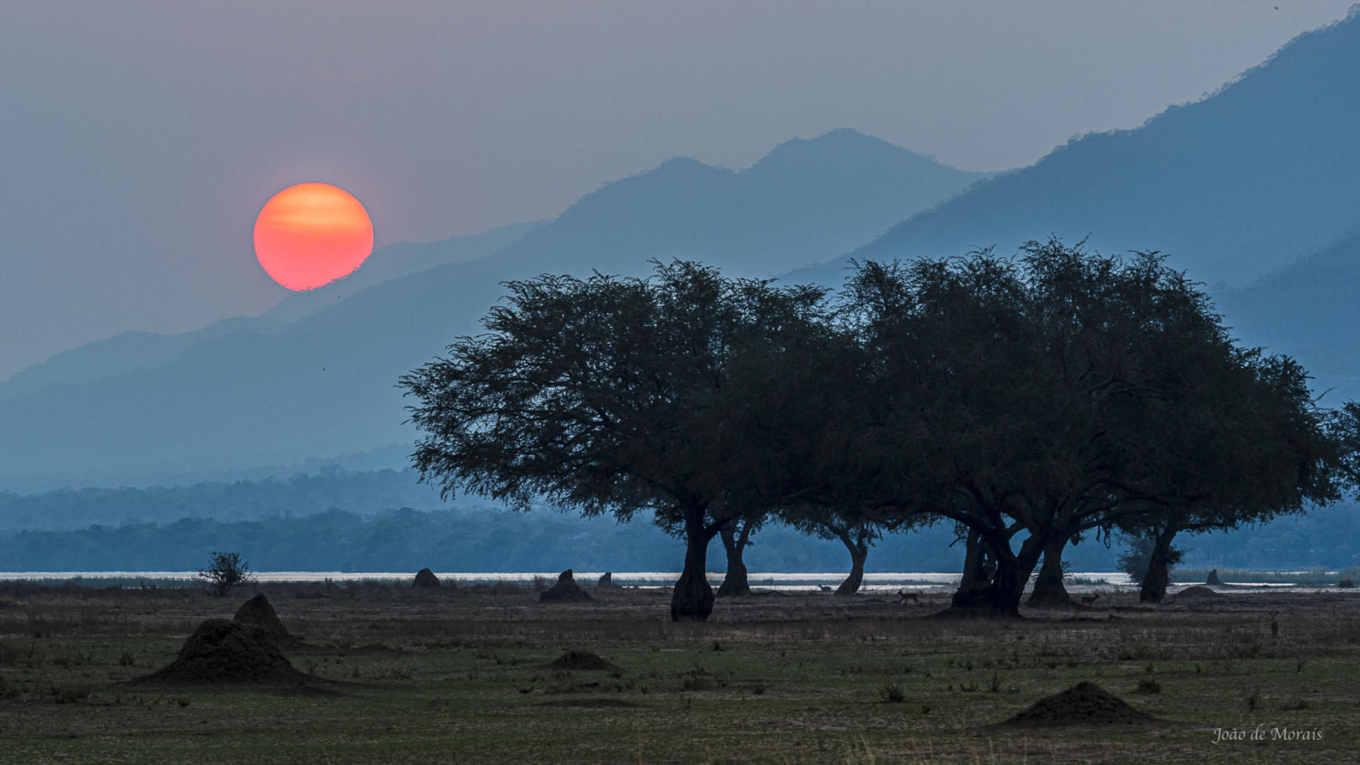 Nightfall by the Zambezi