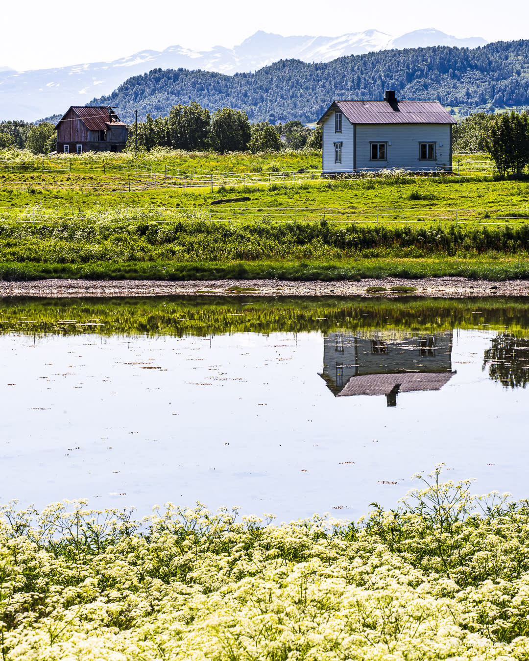 The Old Farm by the Fjord, nr 1