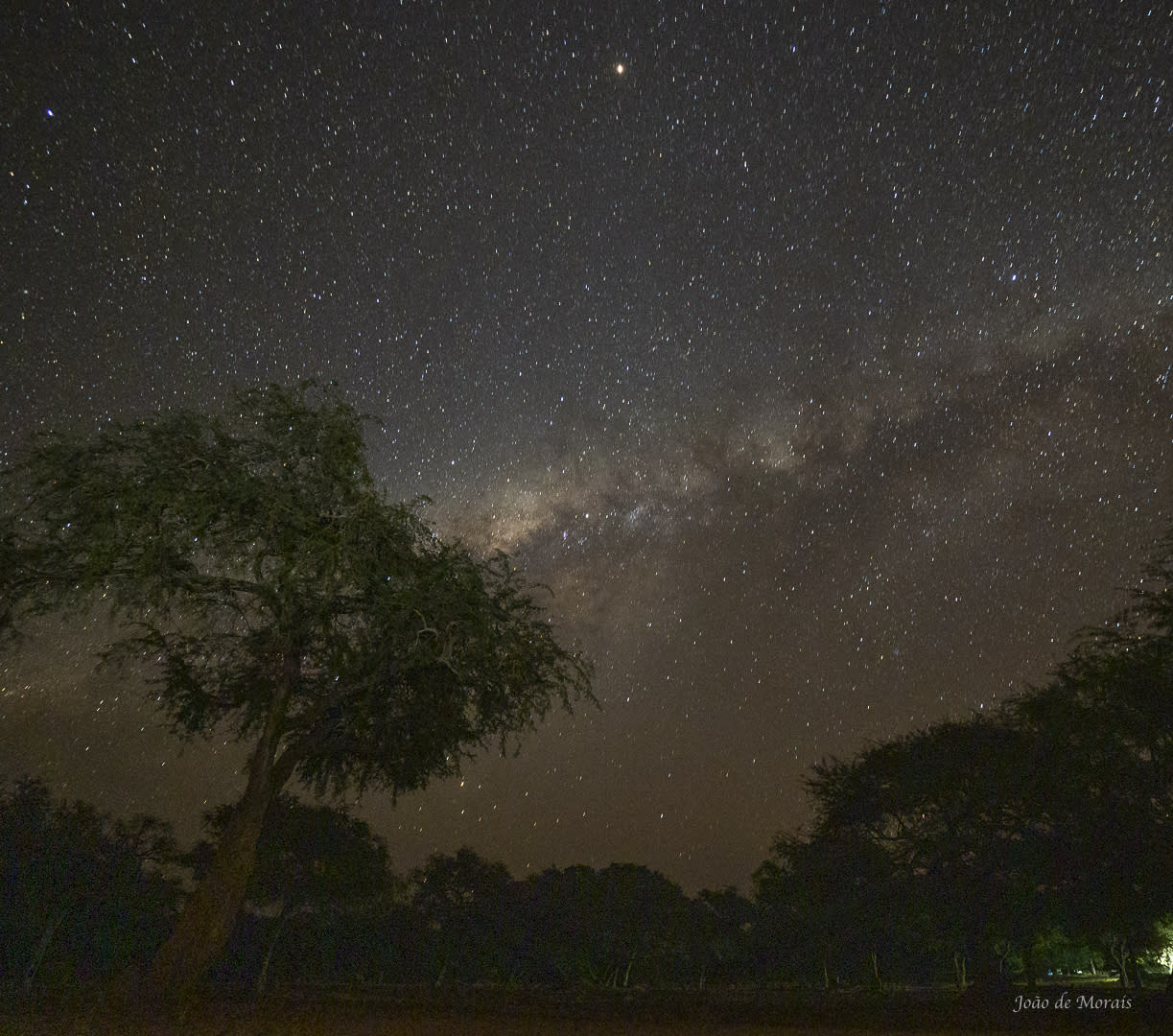 The Milky Way at Mana Pools