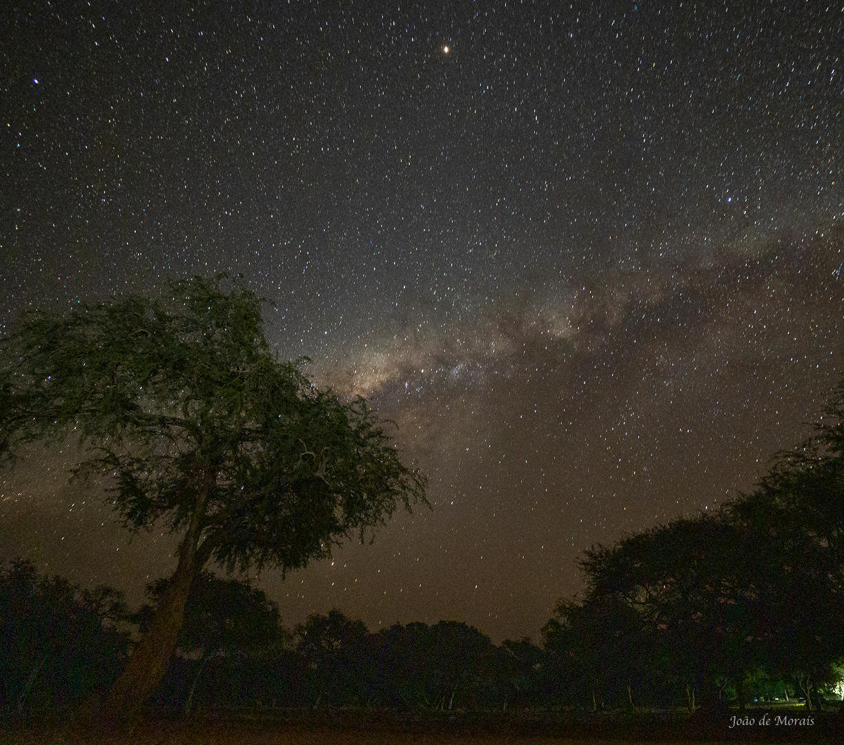 The Milky Way at Mana Pools