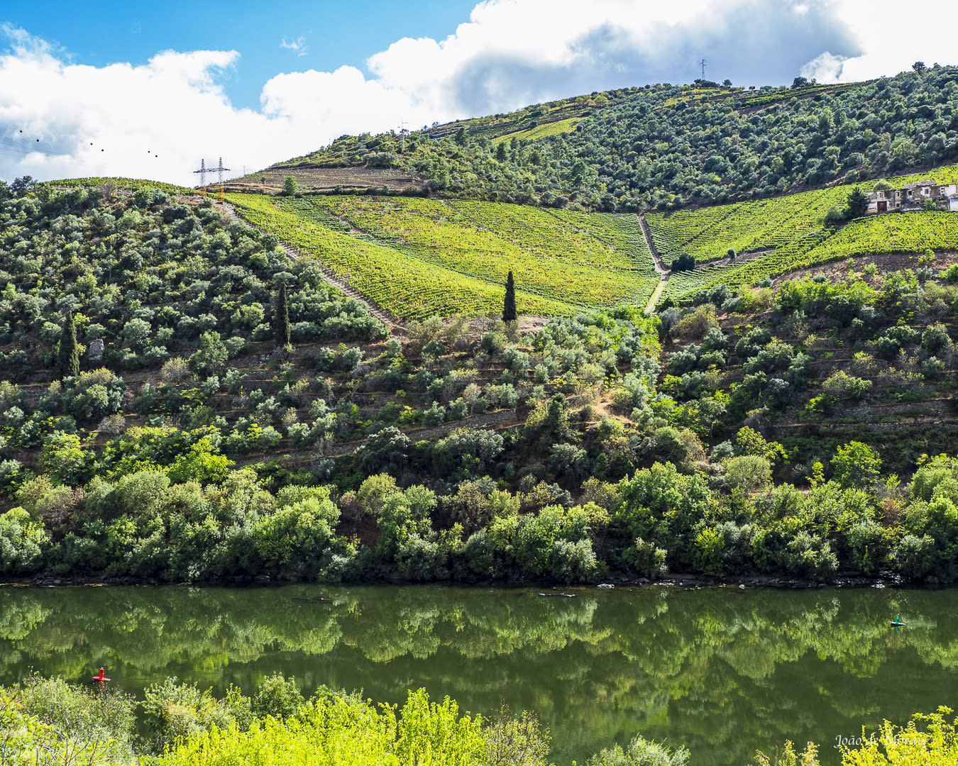 Douro Reflections