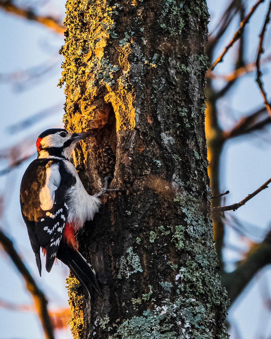 Admirable resilience