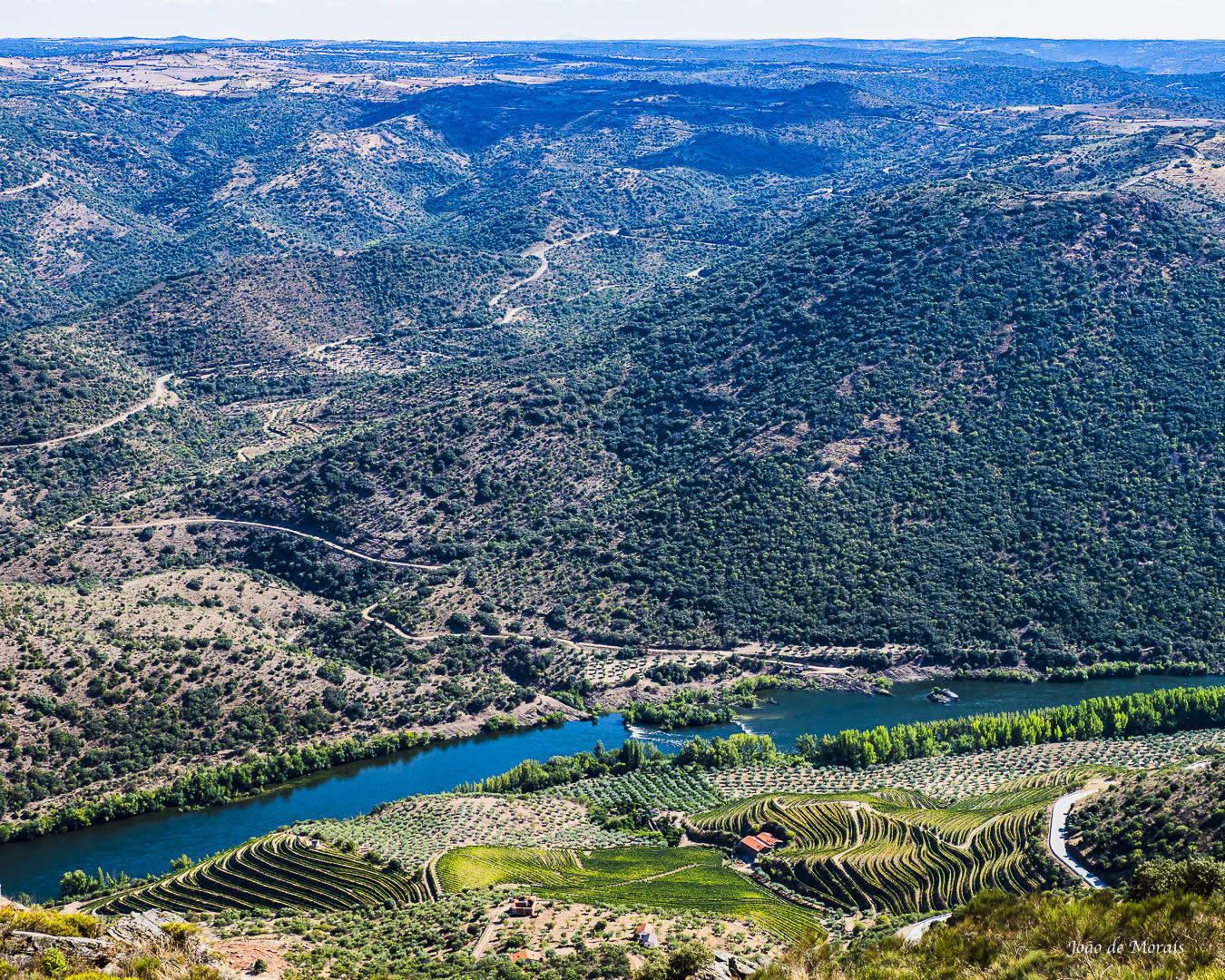 Upper Douro Dividing Lines