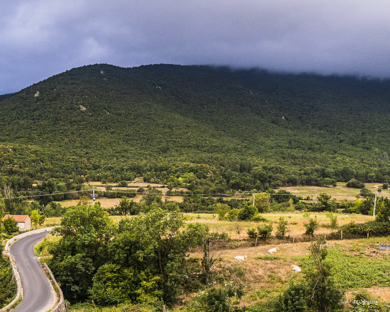 The First Climb: French Pyrenées