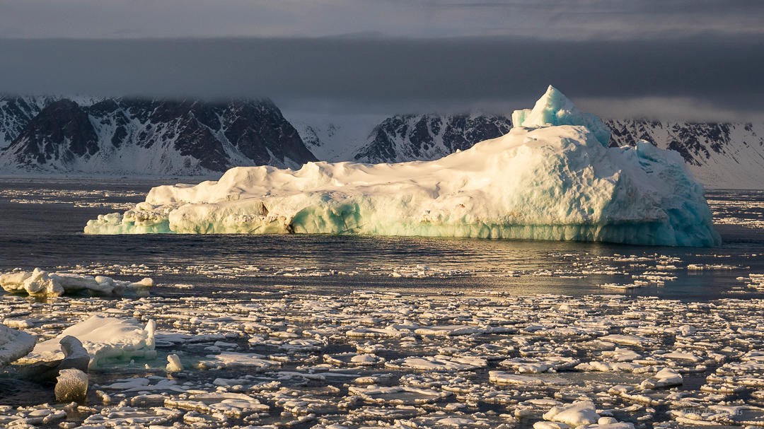 Land of Light and Shadows