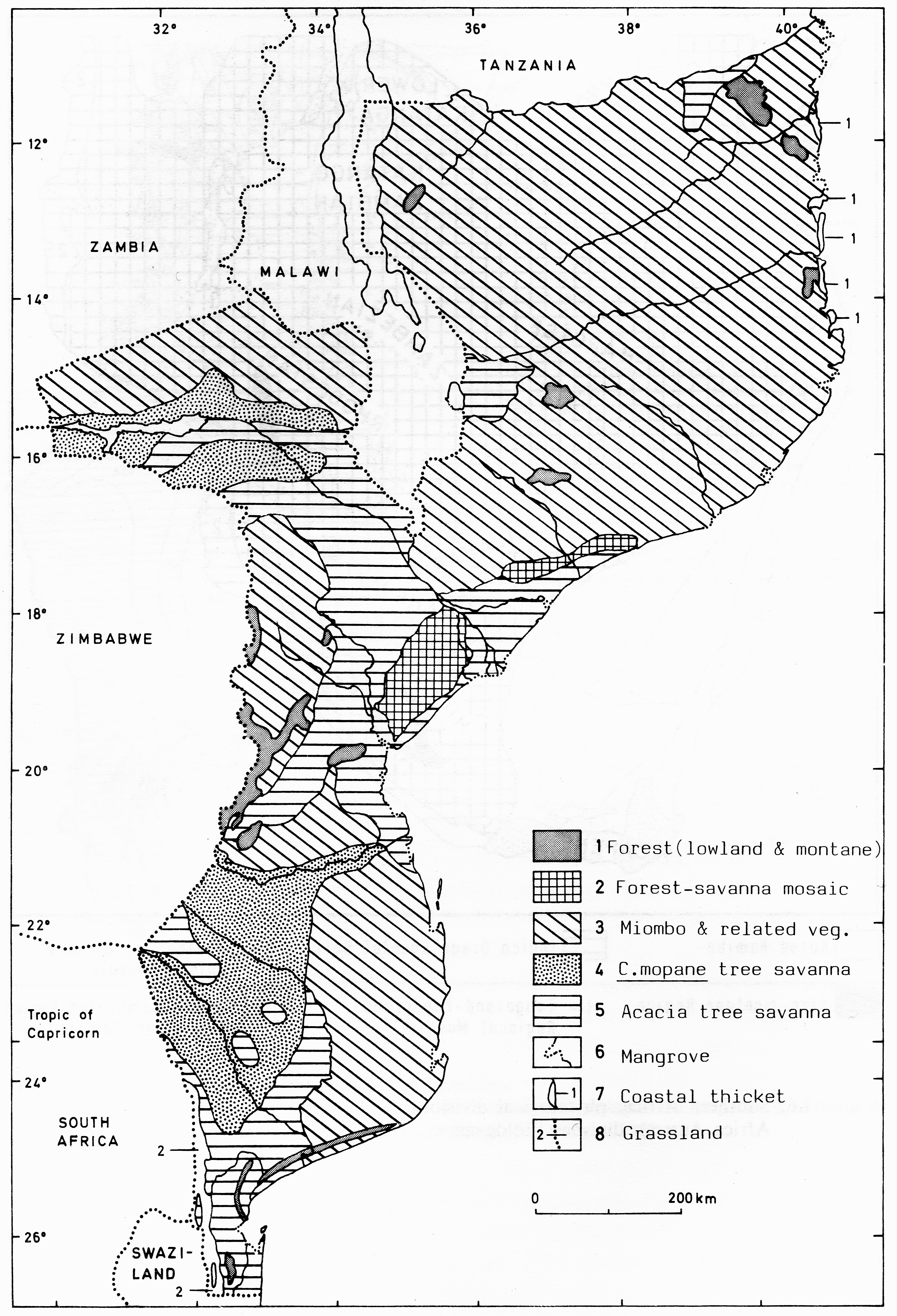 Mozambique Vegetation