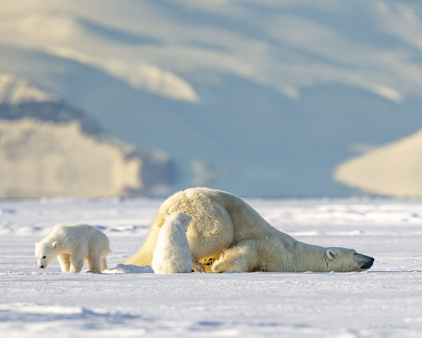 An Exhausting Motherhood