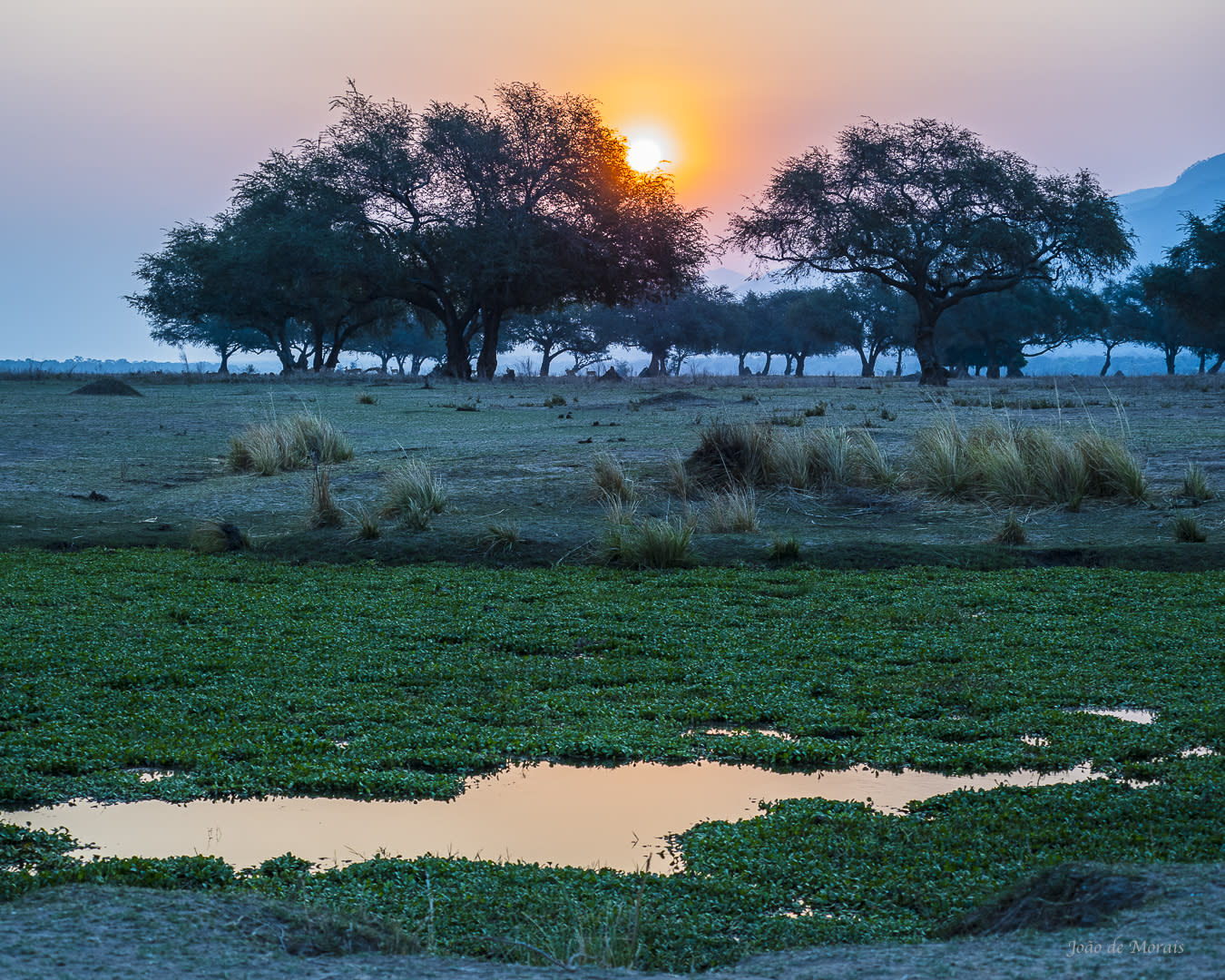 Sunset by one of the Mana Pools