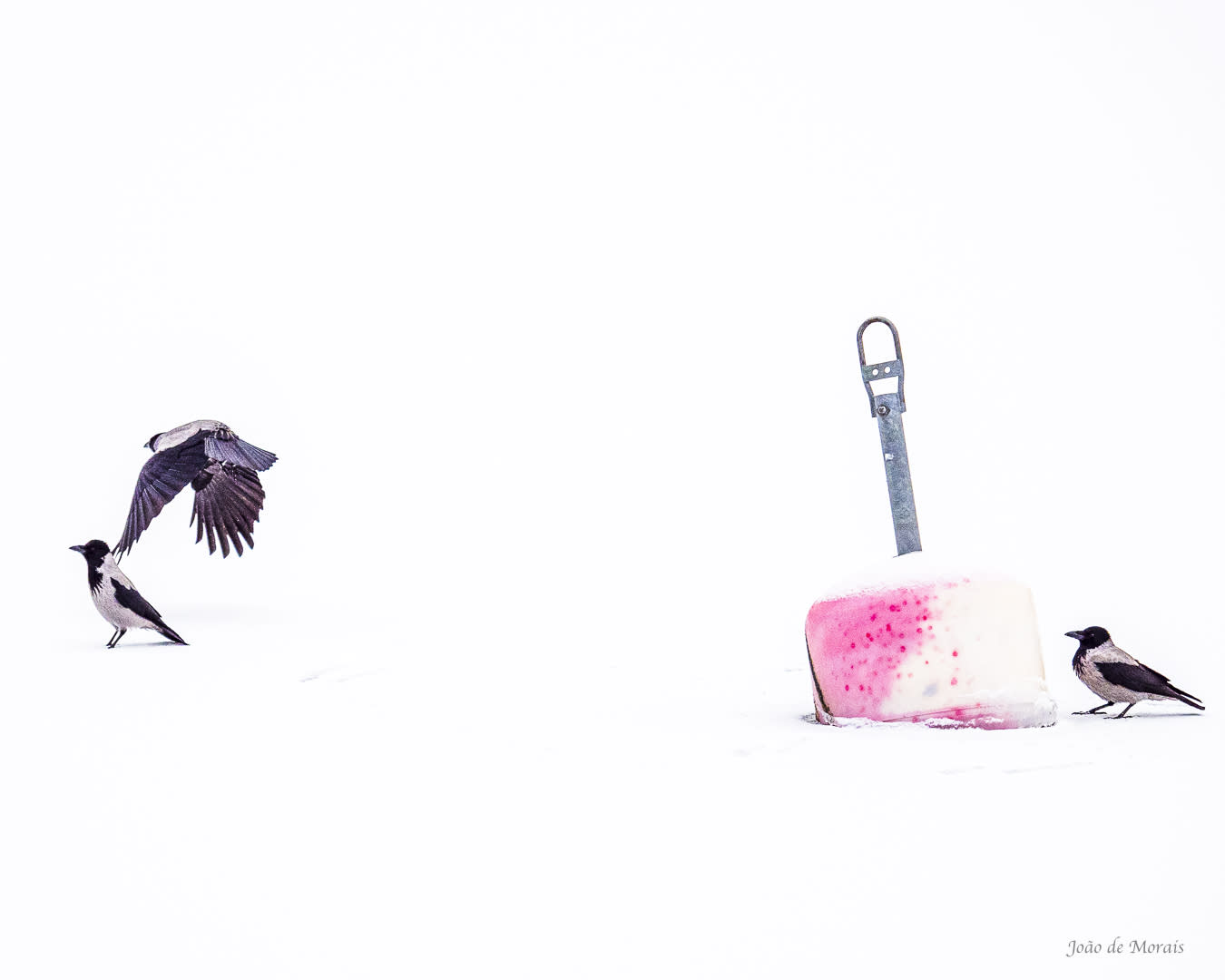 Playground Party by the Frozen Anchor: