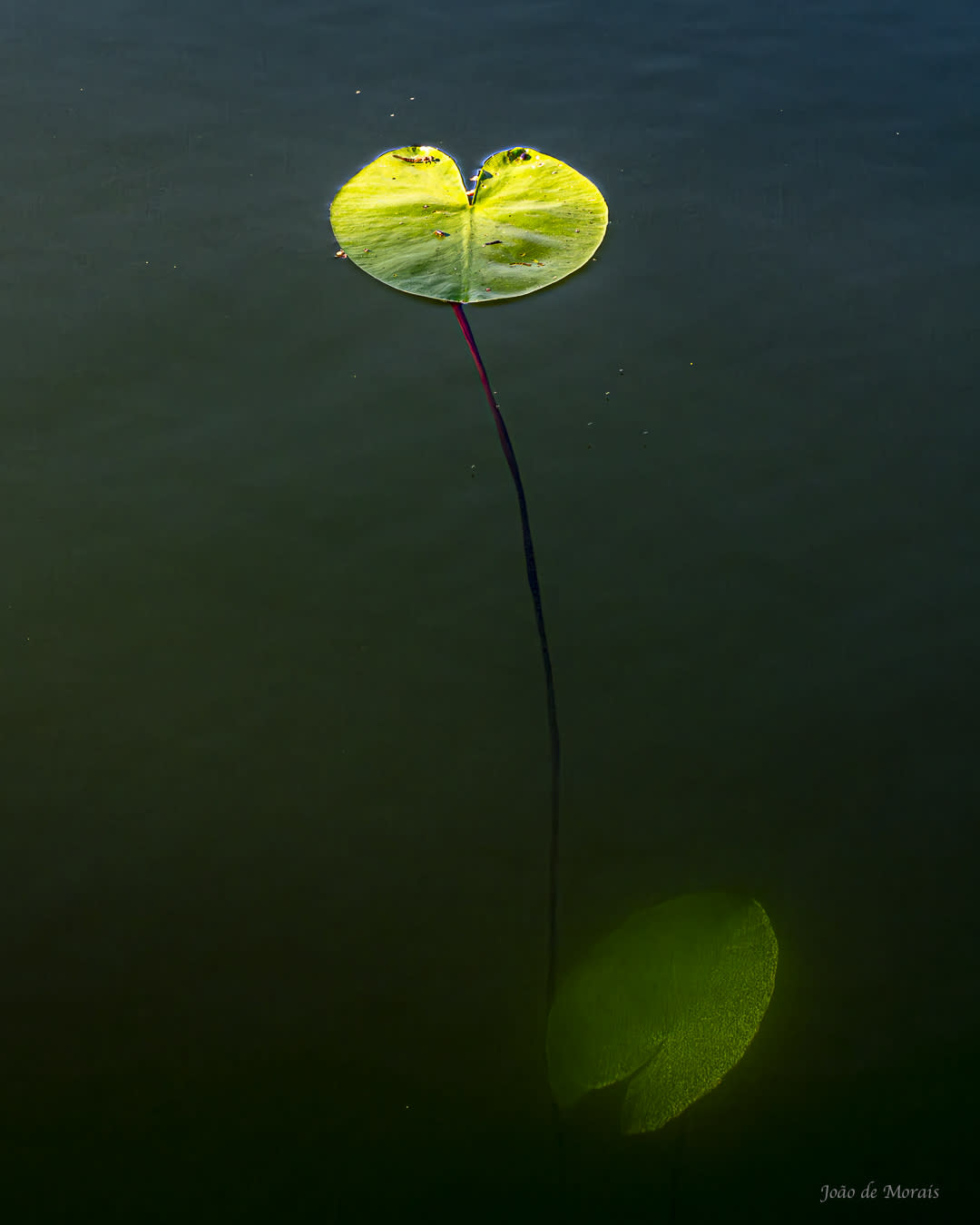 As above, So below