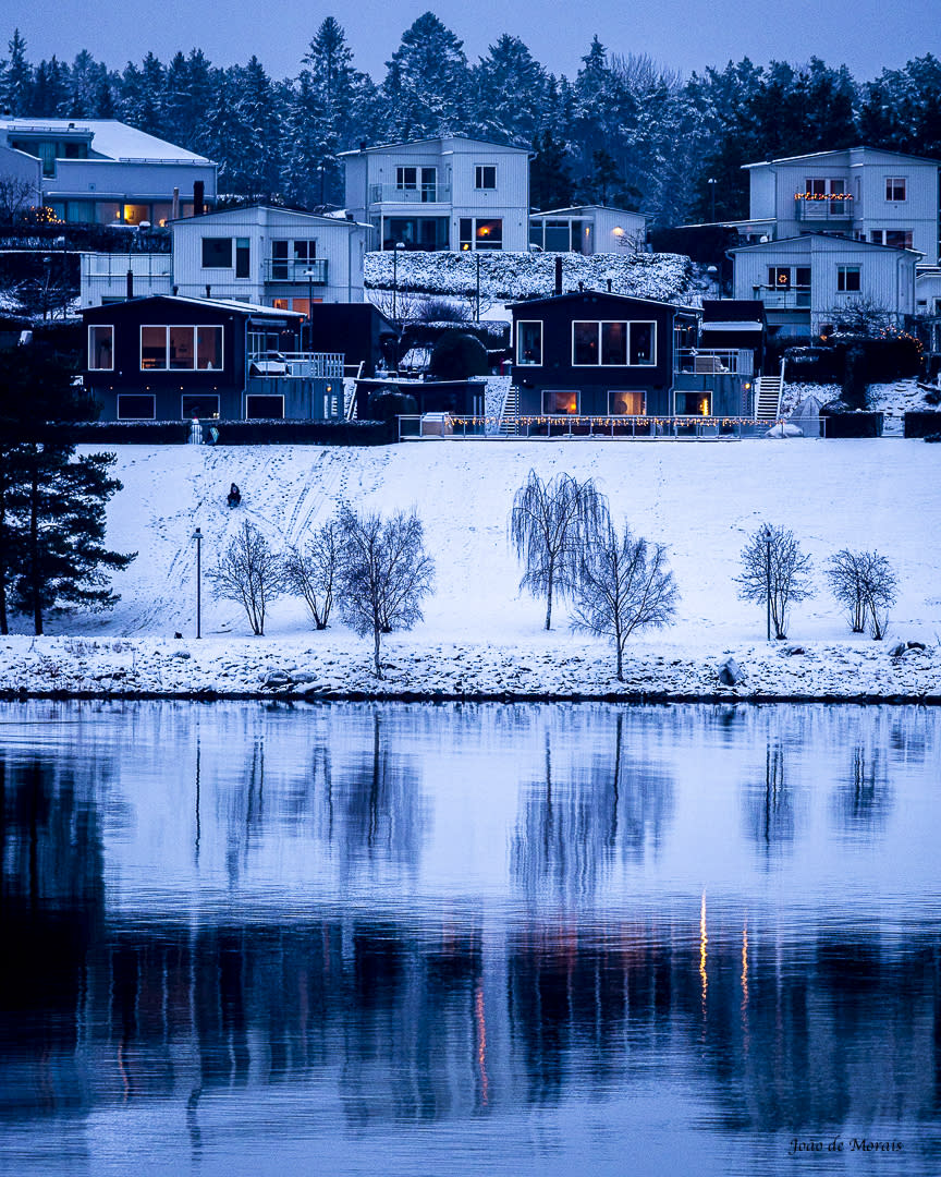 Winter Sledding under 'Arctic Blue' Twilight