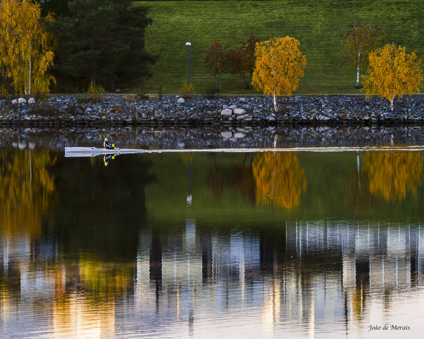 Autumn Bliss