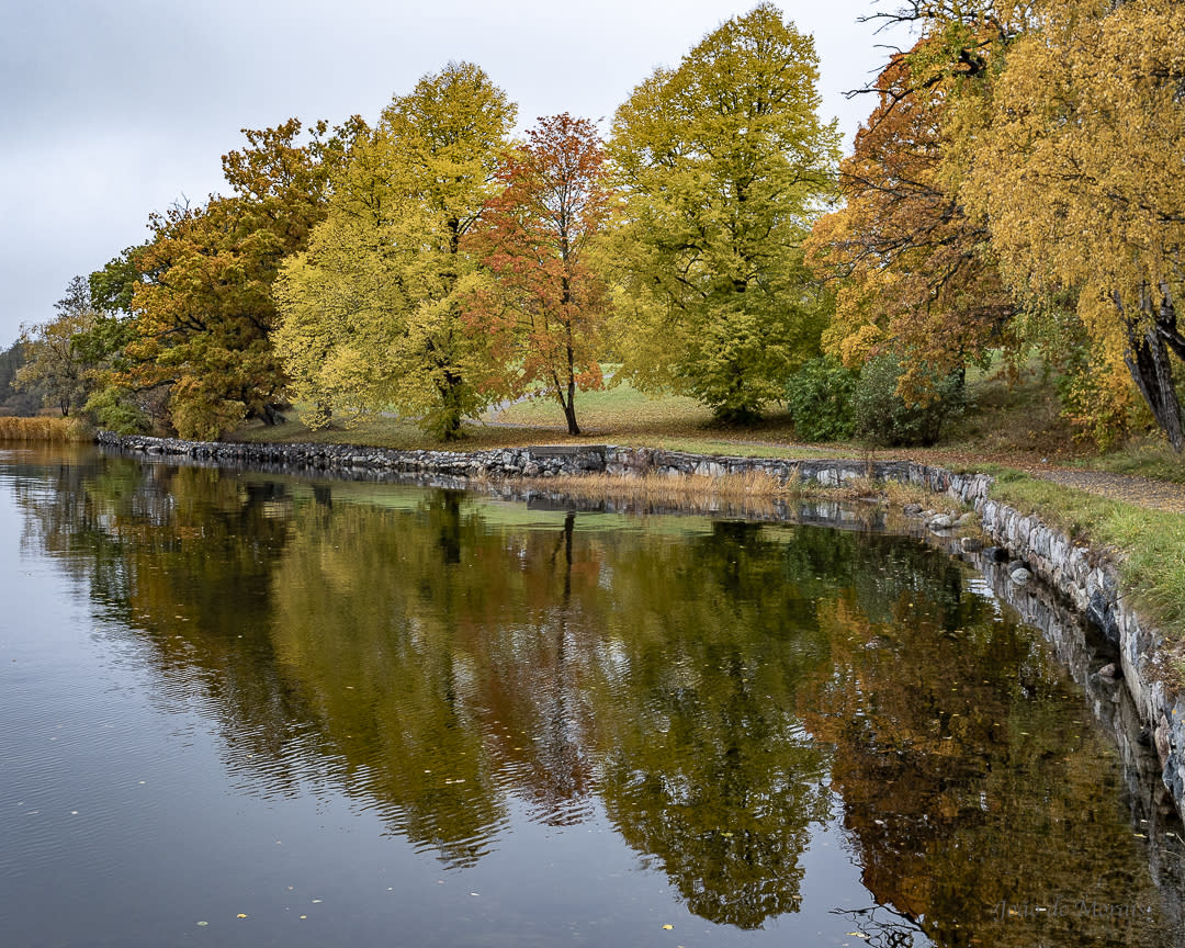 Autumn Nostalgia