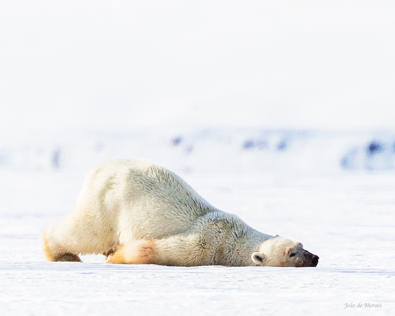 The Black beneath the White