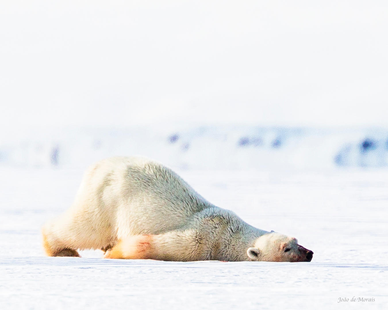 The Black beneath the White