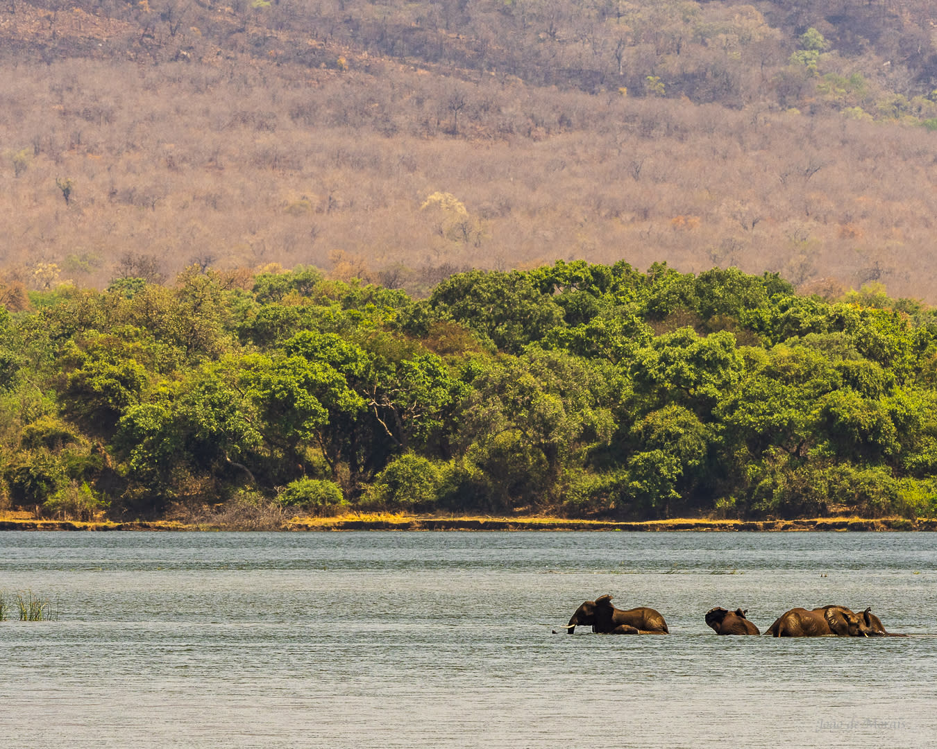 Zambezi River Crossing