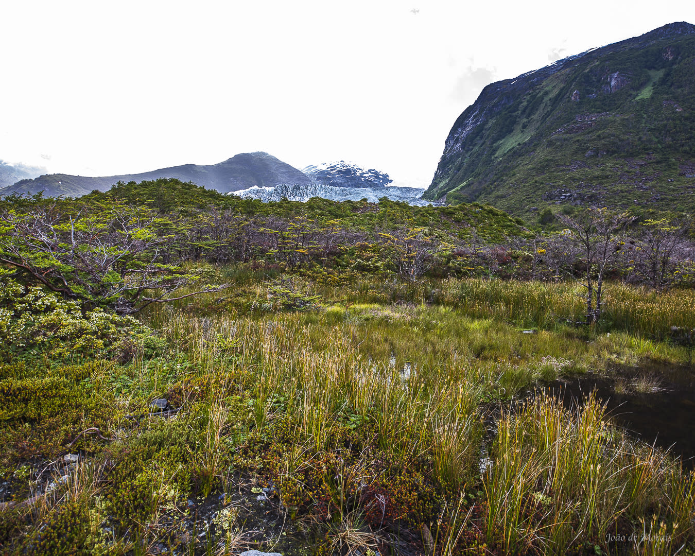 Patagonian Summer 