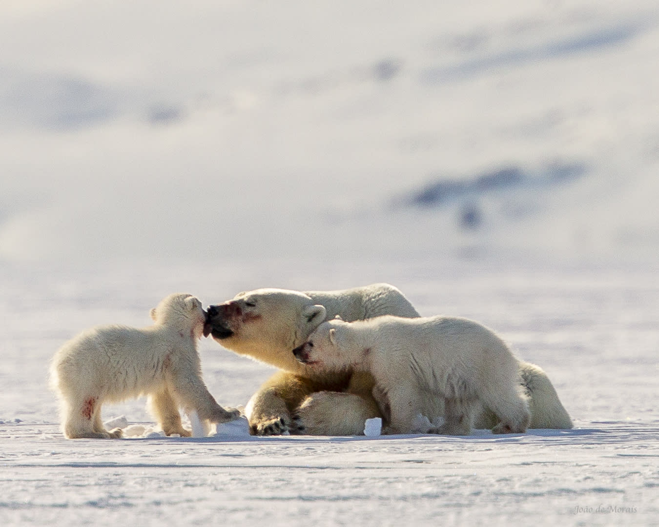 Grooming