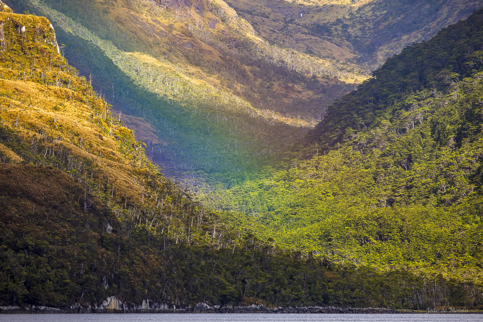 Patagonian Rainbow