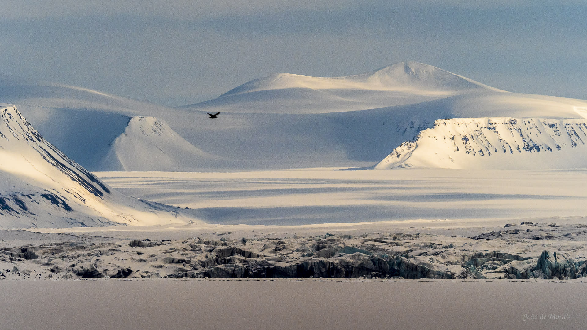 Flying over Life’s Edge