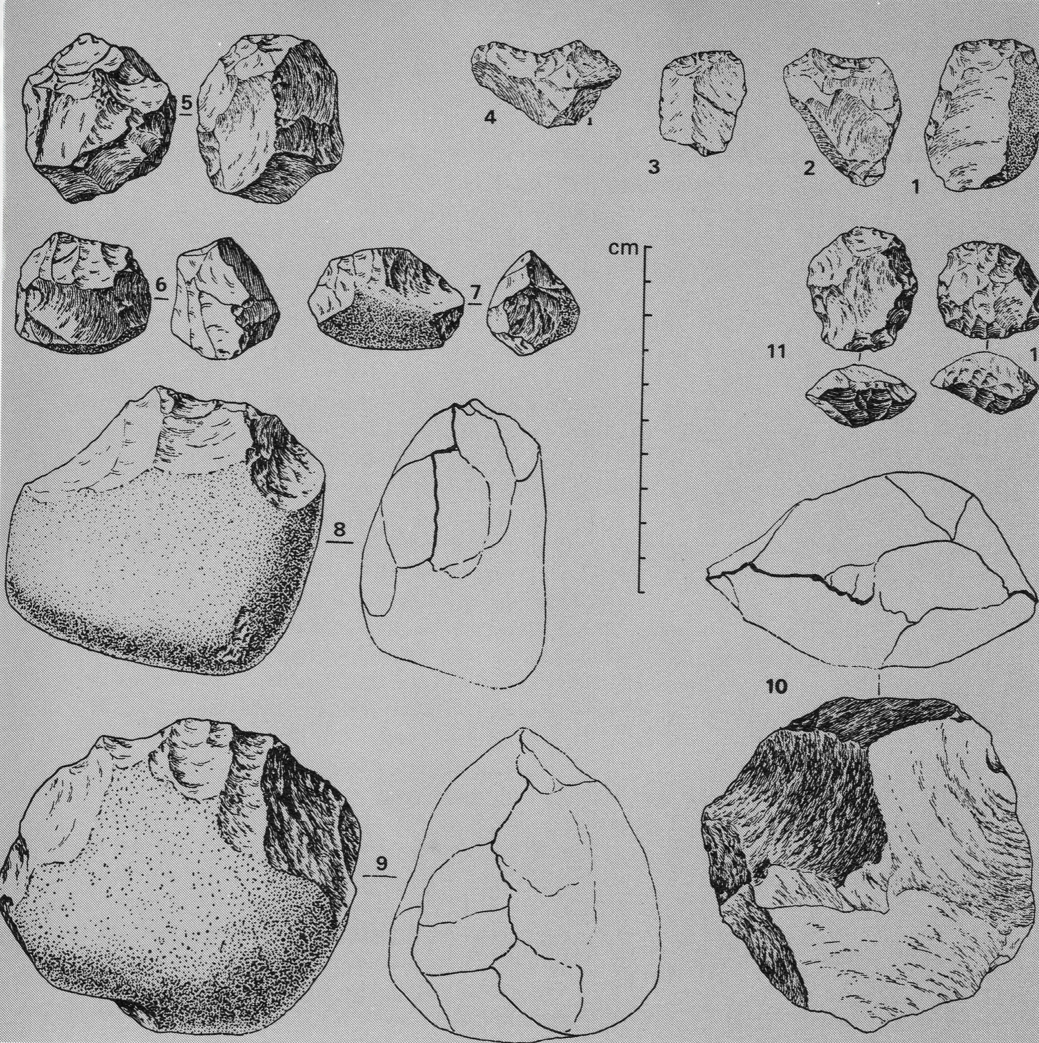 Oldowan tools