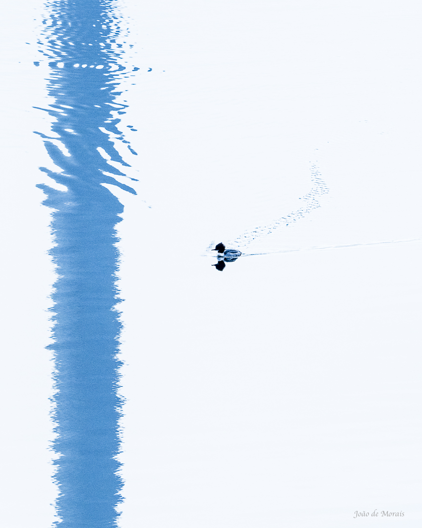 'The Less Traveled Road'