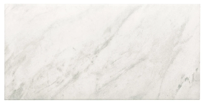 NPT FMU Large Format — Waterline Tile