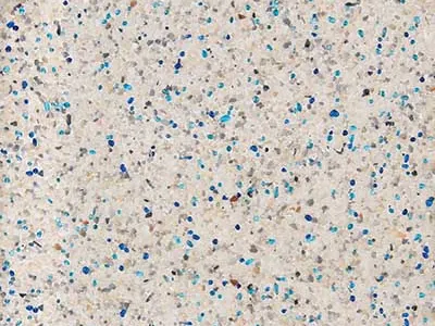 StoneScapes Puerto Rico Blend Aqua Cool sample