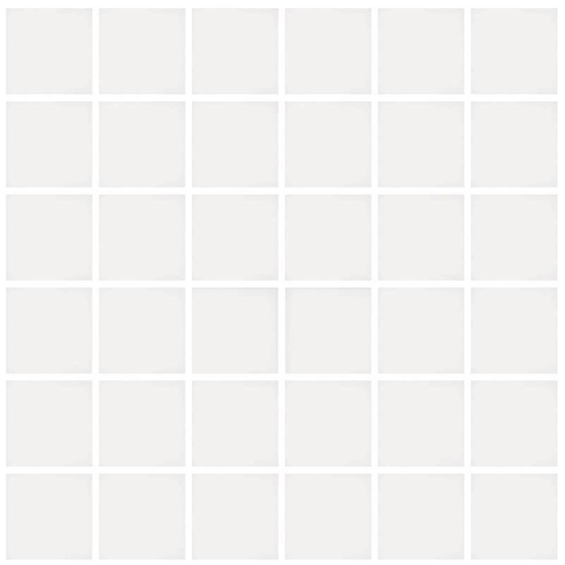 NPT UNGLAZED White Biscuit mosaic tile