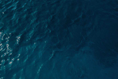 Deep Blue Harbor