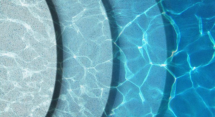 Damselfly Water Depth