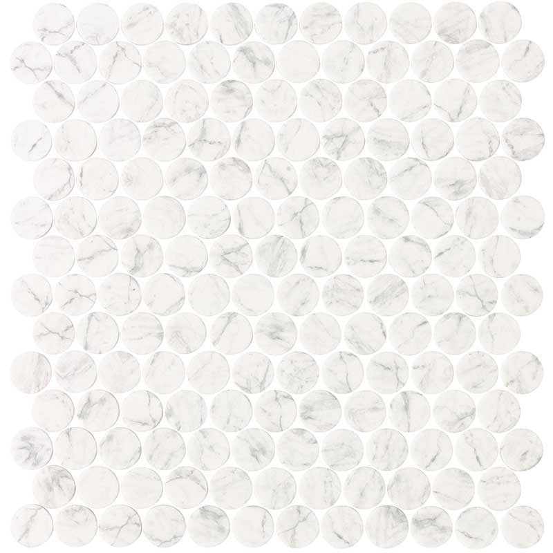 NPT BEACH ENTRY Marble Penny Round mosaic tile