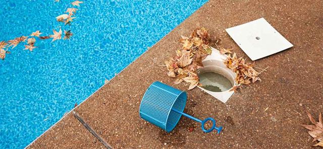 Keep Your Pool Skimmer and Pump Baskets Clean