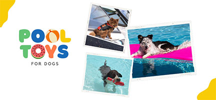 Best Pool Toys for Dogs