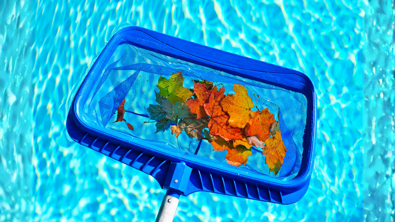 Fall Leaves By The Pool 2
