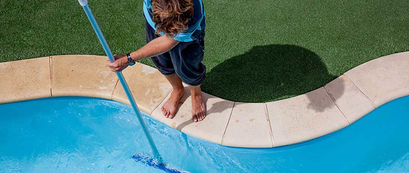 Black Algae and Your Swimming Pool: Tips for Removal and Prevention