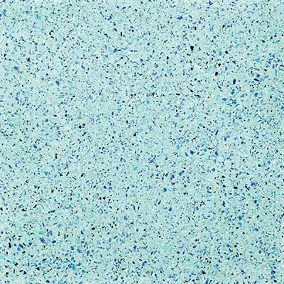 Sea Glass PolishedScapes