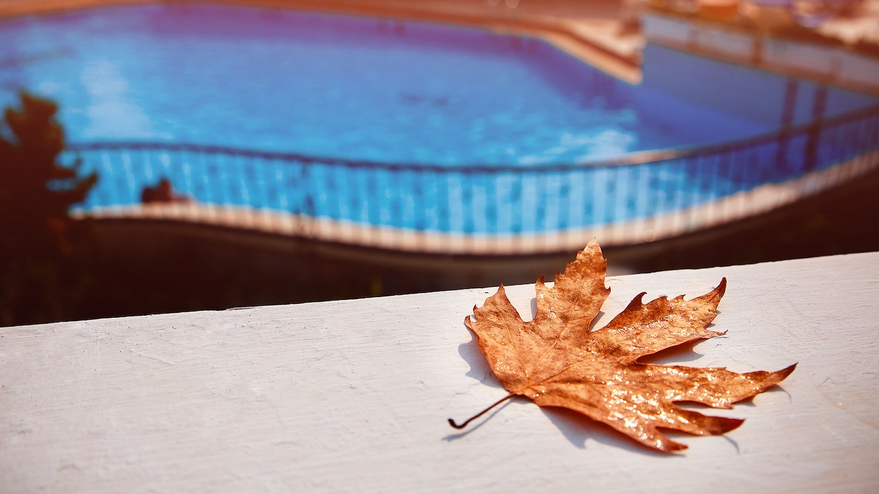 Fall Leaves By The Pool