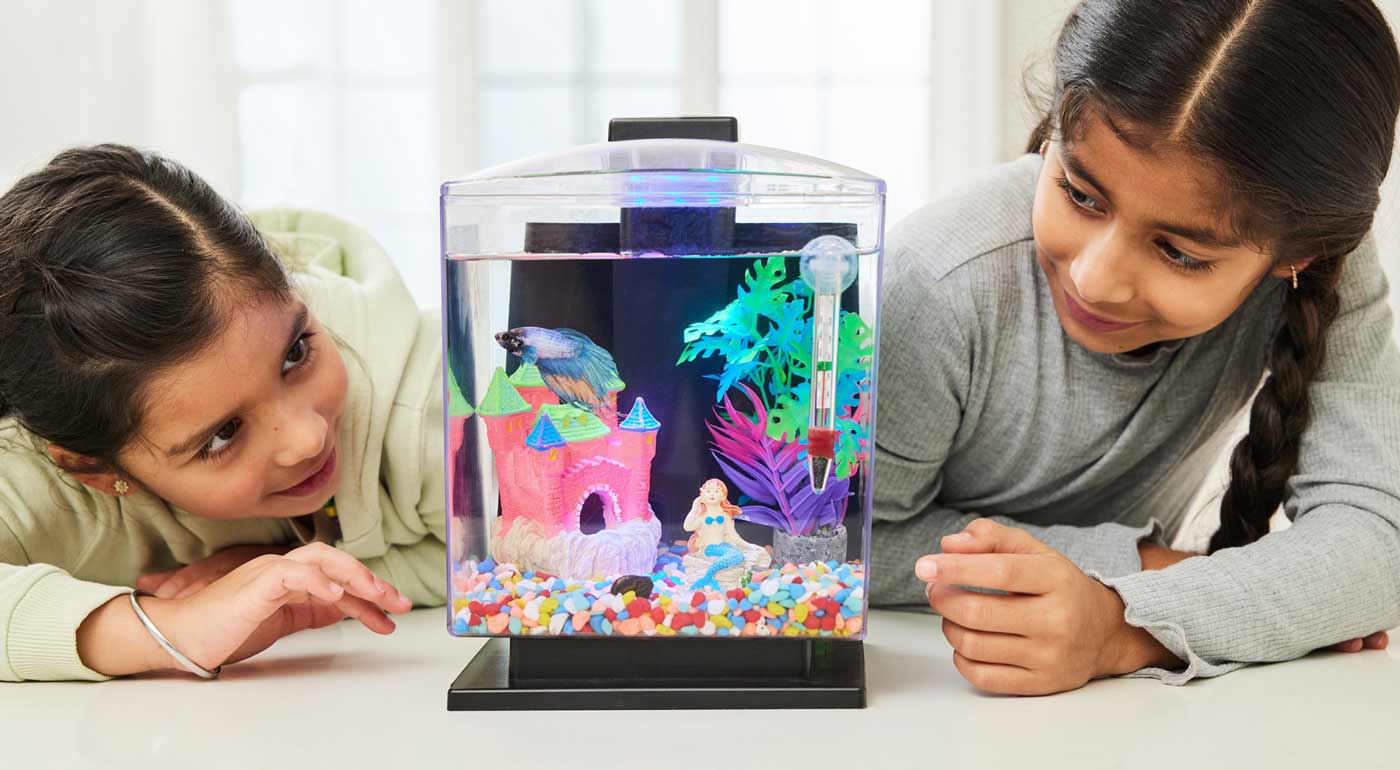 Two girls watch a fish in a fish tank