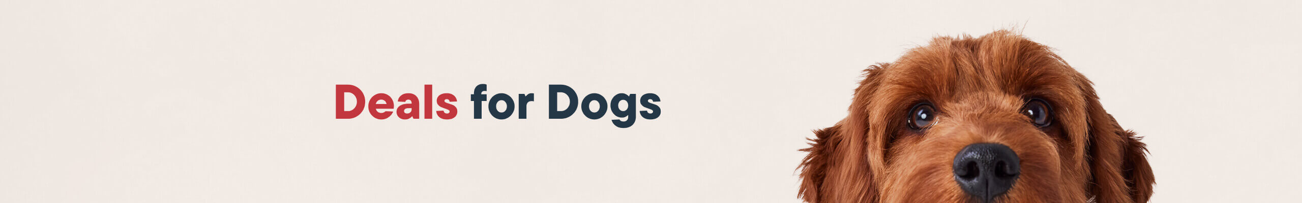 Deals for dogs