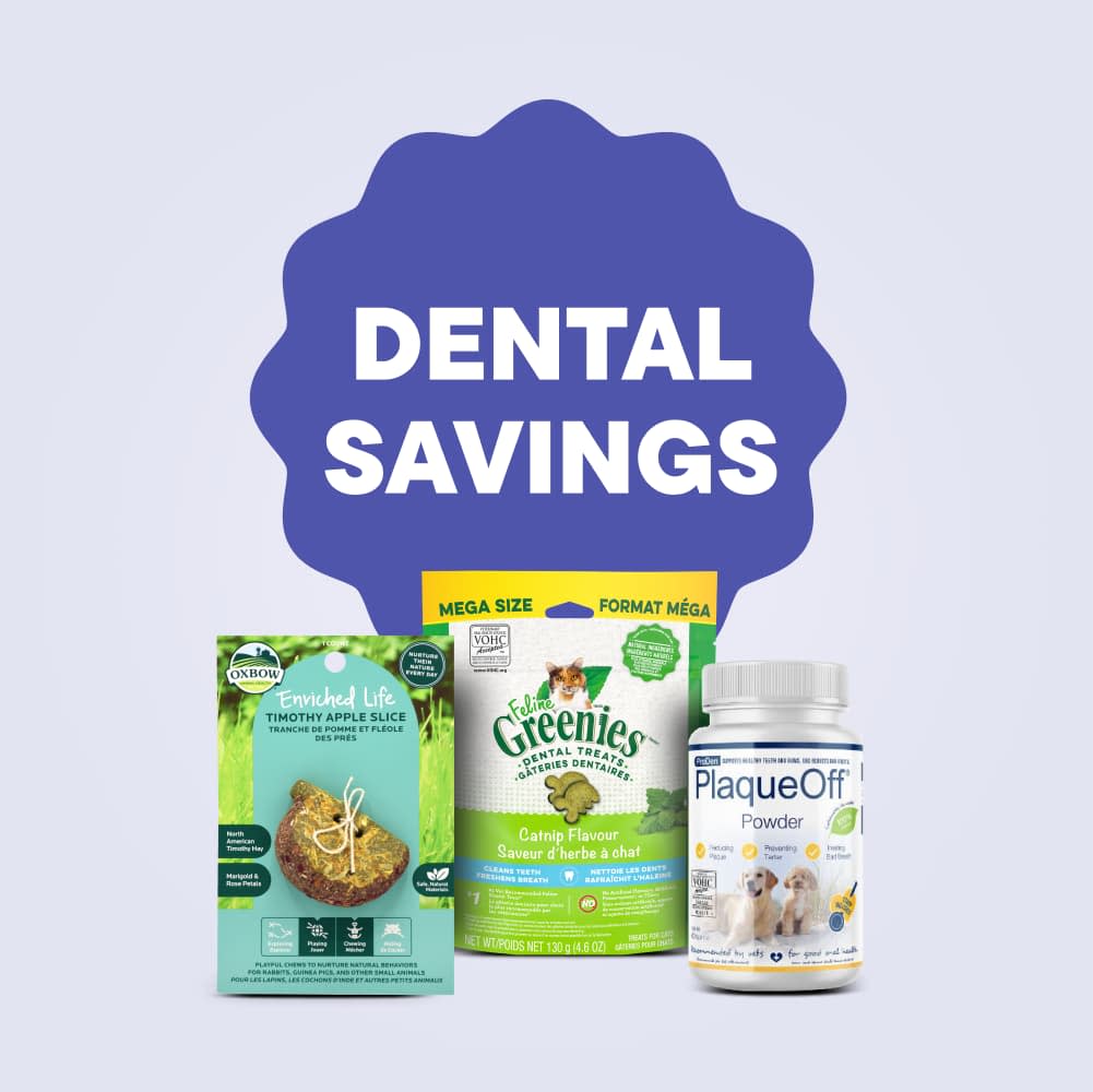 Dental Savings